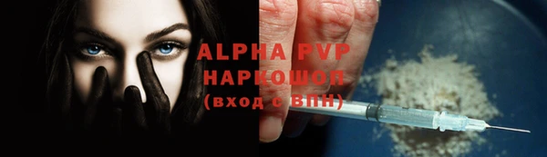 ешки Богданович
