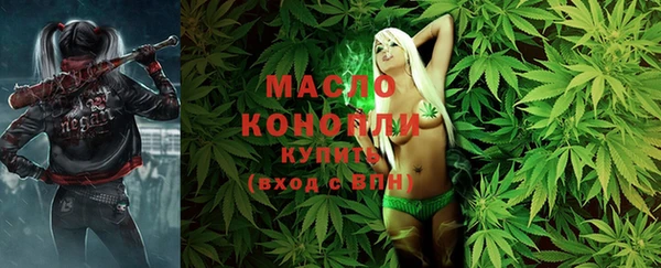 молекула духа Краснослободск