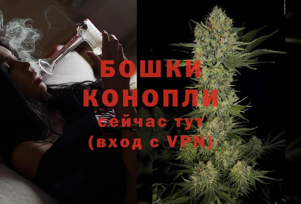 молекула духа Краснослободск